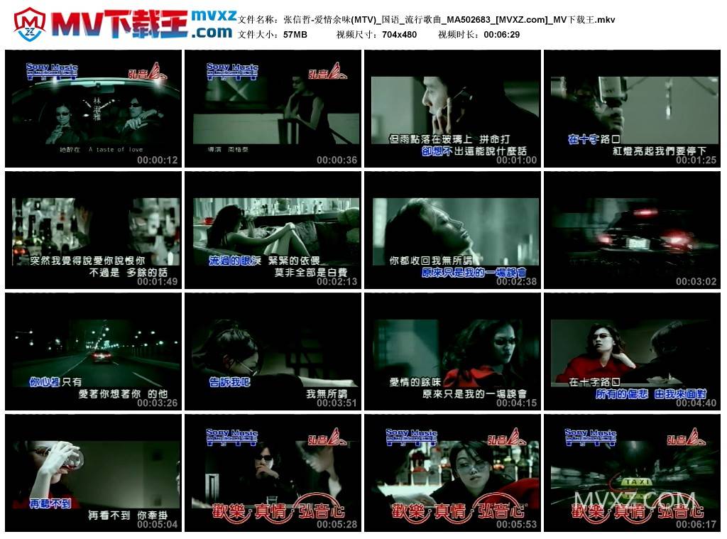 张信哲-爱情余味(MTV)_国语_流行歌曲_MA502683